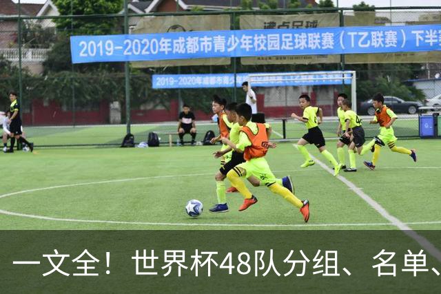一文全！世界杯48队分组、名单、球场、奖金、数据....看这就够了