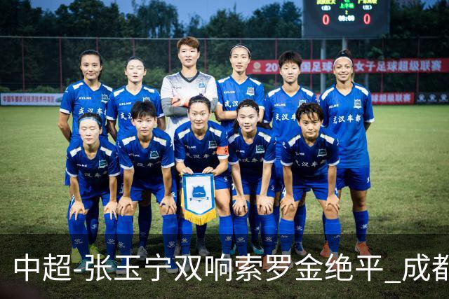 中超-张玉宁双响索罗金绝平 成都连扳两球2-2国安4连平