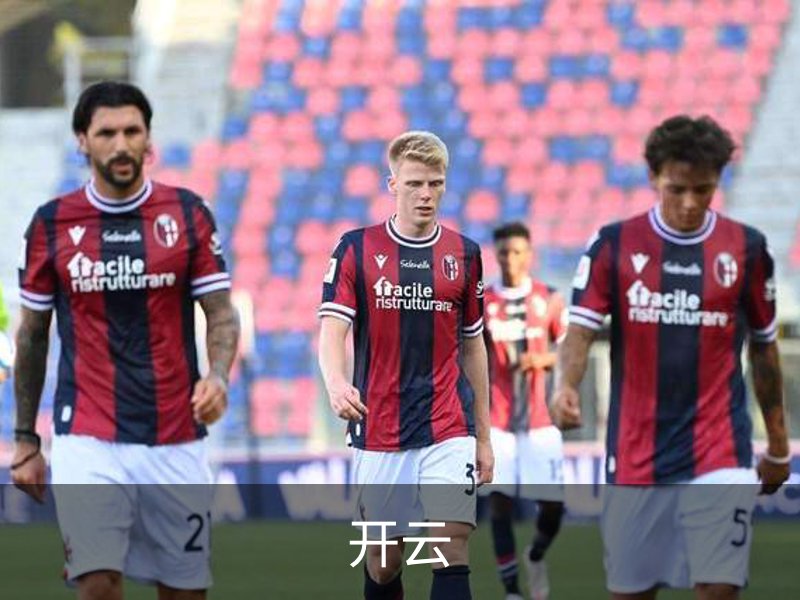 关于开云