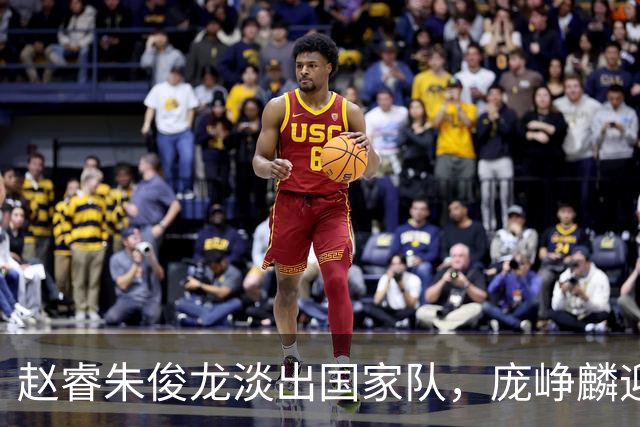 赵睿朱俊龙淡出国家队，庞峥麟迎来机遇，林葳三大短板难进队