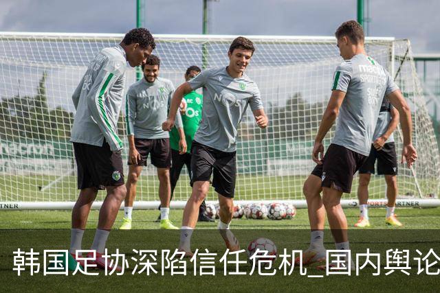 韩国足协深陷信任危机 国内舆论呼吁足协改革